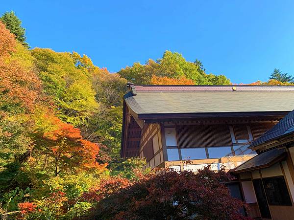 |青龍山.吉祥寺|有『花寺』之美名—北關東賞楓名所