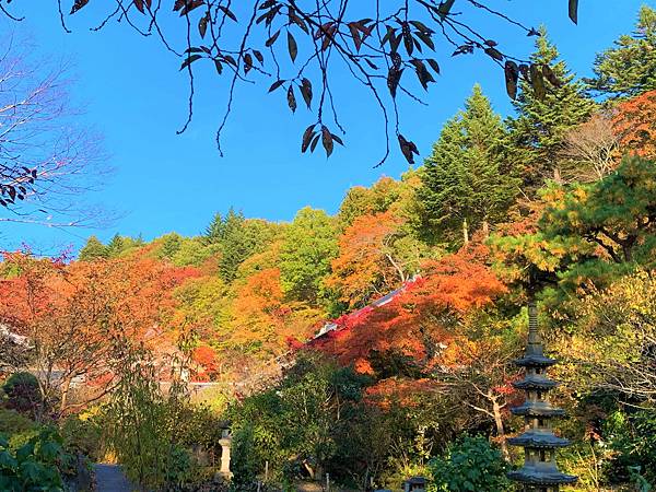 |青龍山.吉祥寺|有『花寺』之美名—北關東賞楓名所