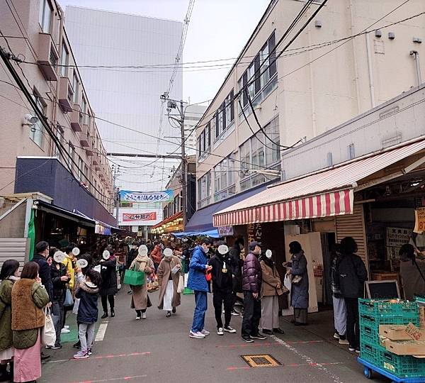 湯島天神＊梅花祭典【湯島天滿宮】学問の神様