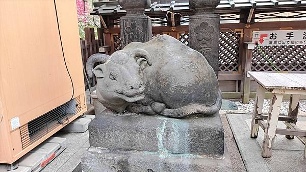 湯島天神＊梅花祭典【湯島天滿宮】学問の神様