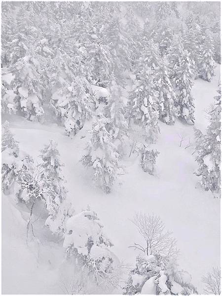 【藏王 樹冰】大自然的恩賞..不容錯過的冬季藝術
