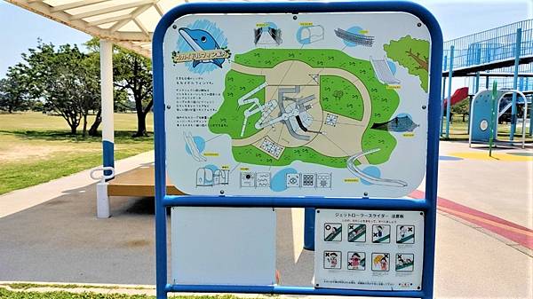 【海之中道海濱公園】遊福岡必賞…2023超夢幻粉蝶花