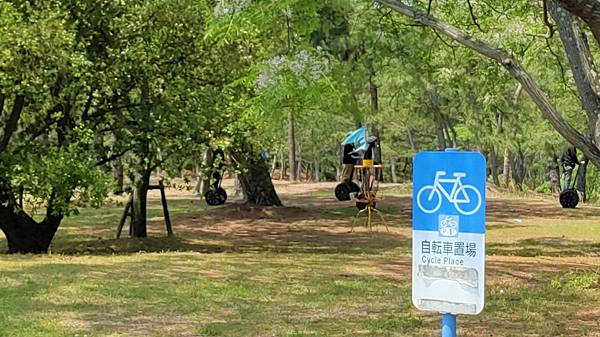 【海之中道海濱公園】遊福岡必賞…2023超夢幻粉蝶花