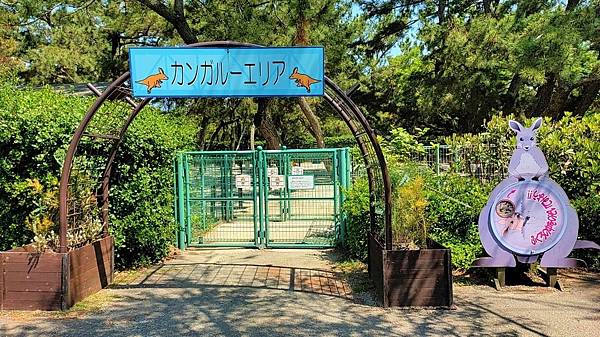 【海之中道海濱公園】遊福岡必賞…2023超夢幻粉蝶花