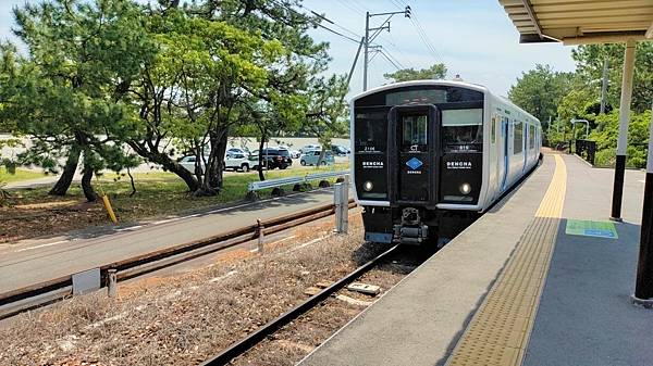 【海之中道海濱公園】遊福岡必賞…2023超夢幻粉蝶花