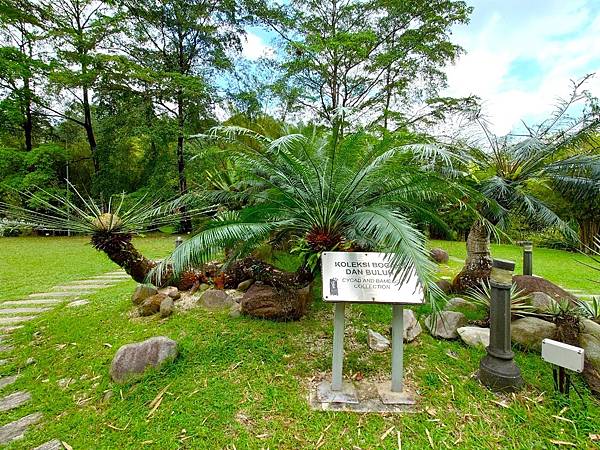 久違的馬來西亞>>>自由行D6>>吉隆坡蝴蝶園.植物園.清水