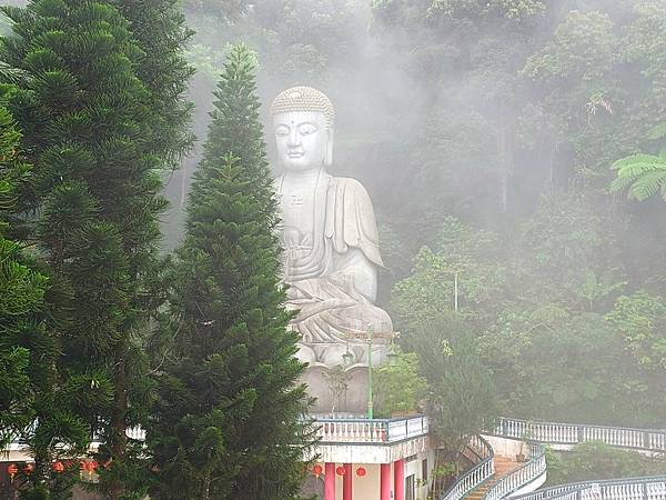 久違的馬來西亞>>>自由行D6>>吉隆坡蝴蝶園.植物園.清水