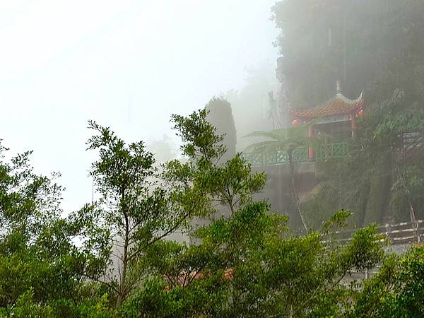 久違的馬來西亞>>>自由行D6>>吉隆坡蝴蝶園.植物園.清水