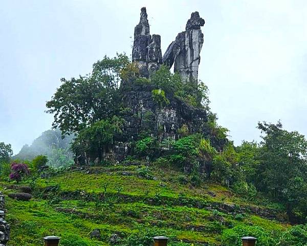 前往【宜賓三太子祖廟】順遊=樂山大佛.翠屏山.熊貓基地.李莊