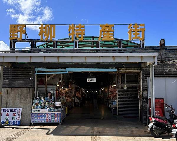 【金山.萬里.石門走一遭】野柳地質公園.女王頭.金山老街.富