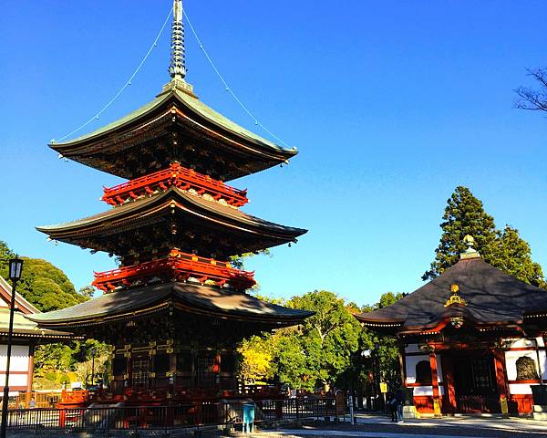 【成田山新勝寺w表參道】吃美食.逛古寺-川豊鰻魚飯.成田山公