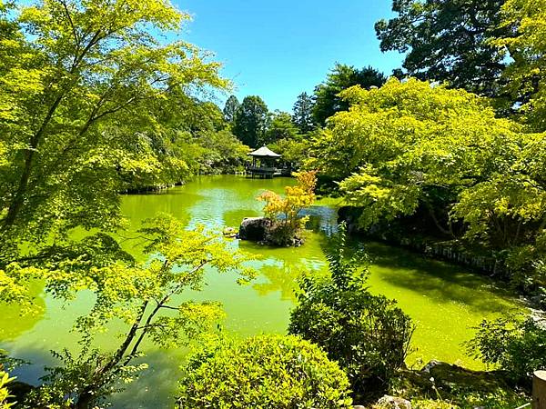 【成田山新勝寺w表參道】吃美食.逛古寺-川豊鰻魚飯.成田山公