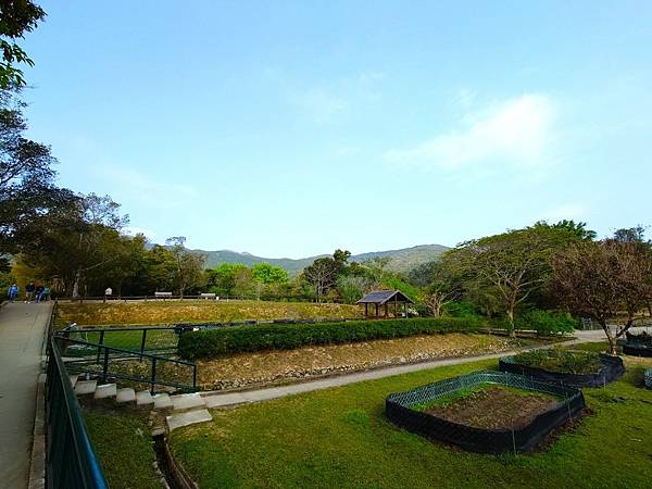 好久沒走香港了>香港地質公園.萬宜水庫東壩.岩石學園.標尖角