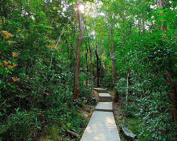 好久沒走香港了>香港地質公園.萬宜水庫東壩.岩石學園.標尖角