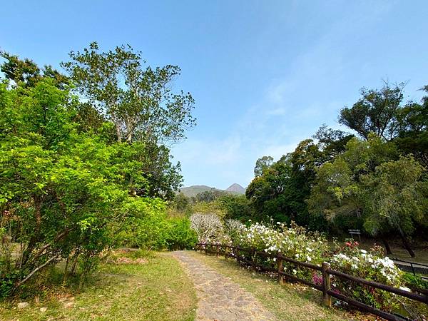 好久沒走香港了>香港地質公園.萬宜水庫東壩.岩石學園.標尖角