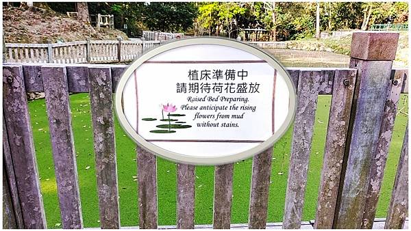 好久沒走香港了>香港地質公園.萬宜水庫東壩.岩石學園.標尖角