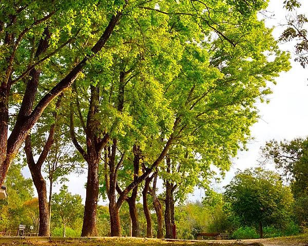 好久沒走香港了>香港地質公園.萬宜水庫東壩.岩石學園.標尖角