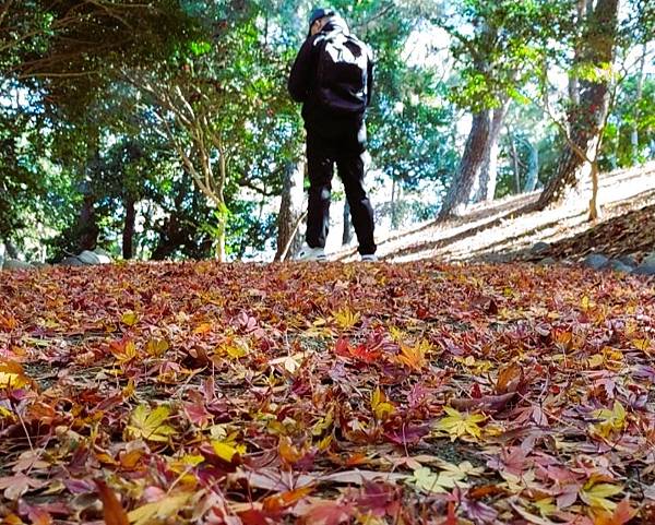 【福岡雙人行】海之中道海濱公園.西戶崎港.福岡塔.戀人聖地