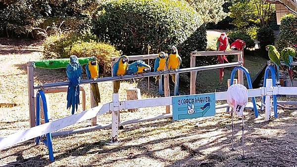 【福岡雙人行】海之中道海濱公園.西戶崎港.福岡塔.戀人聖地