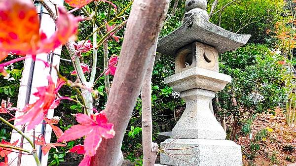 【福岡雙人行】紅葉八幡宮.在福岡的綠洲-大濠公園-散散步.吃