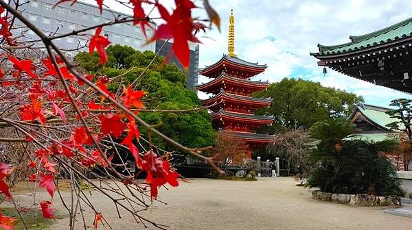 【福岡雙人行Ⅲ】舞鶴公園.櫛田神社.博多運河城.東長寺.博多