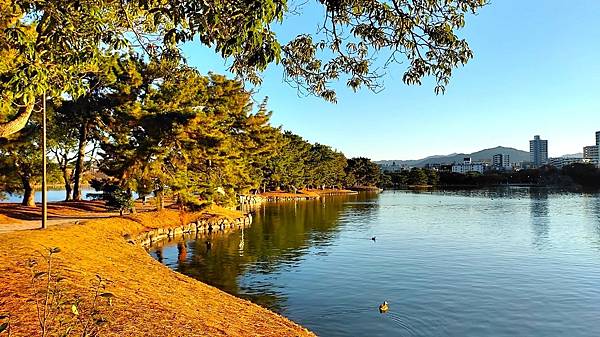 【福岡雙人行Ⅲ】舞鶴公園.櫛田神社.博多運河城.東長寺.博多