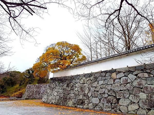 【福岡雙人行Ⅲ】舞鶴公園.櫛田神社.博多運河城.東長寺.博多