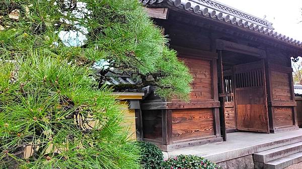 【福岡雙人行Ⅲ】舞鶴公園.櫛田神社.博多運河城.東長寺.博多