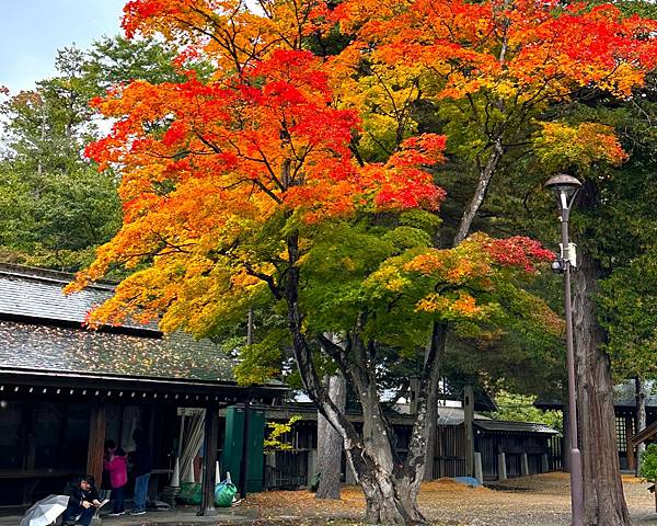 東北賞雪行>十和田湖.現代美術館.銀山溫泉.青森屋.乃之風.