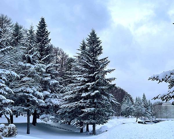 東北賞雪行>十和田湖.現代美術館.銀山溫泉.青森屋.乃之風.