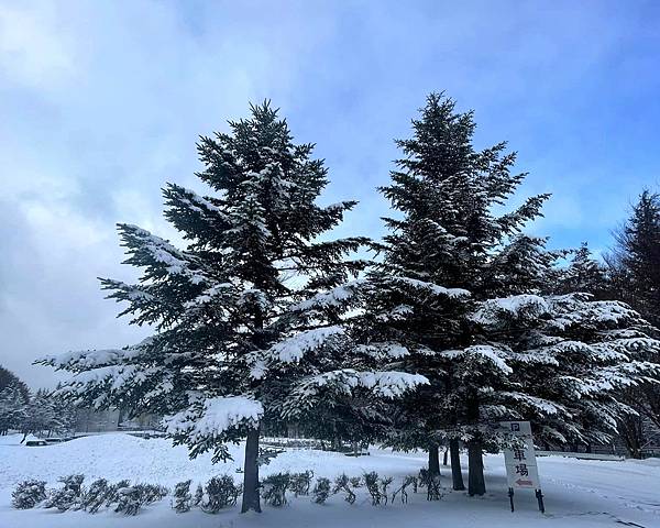 東北賞雪行>十和田湖.現代美術館.銀山溫泉.青森屋.乃之風.