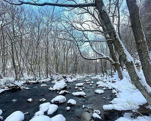 東北賞雪行>十和田湖.現代美術館.銀山溫泉.青森屋.乃之風.