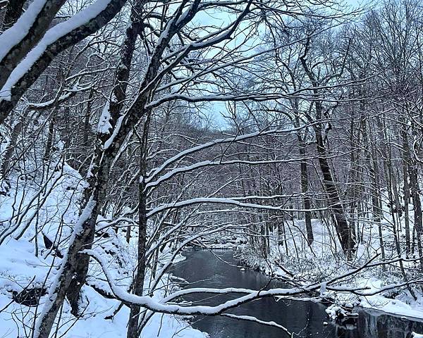 東北賞雪行>十和田湖.現代美術館.銀山溫泉.青森屋.乃之風.