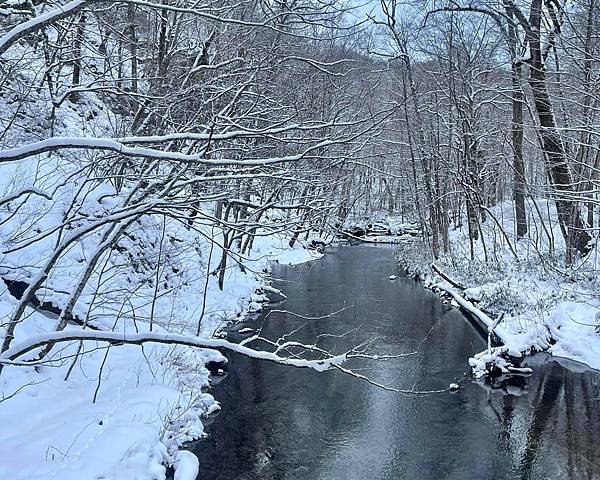 東北賞雪行>十和田湖.現代美術館.銀山溫泉.青森屋.乃之風.