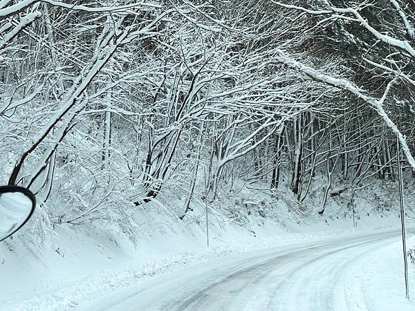 東北賞雪行>十和田湖.現代美術館.銀山溫泉.青森屋.乃之風.