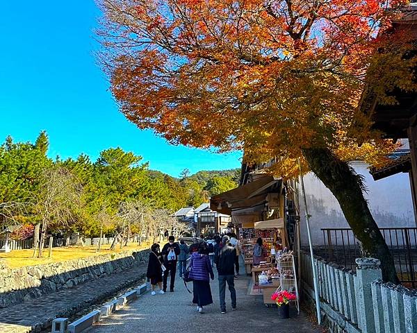 廣島必遊→日本三景之一『國寶.嚴島神社』+ 必吃美食牡蠣屋