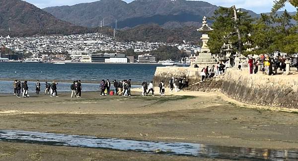 廣島必遊→日本三景之一『國寶.嚴島神社』+ 必吃美食牡蠣屋