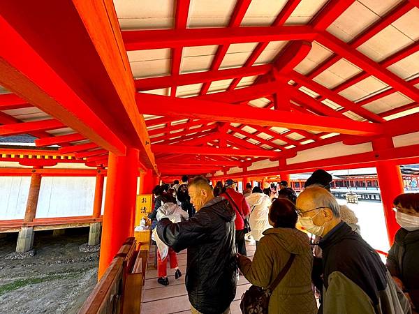 廣島必遊→日本三景之一『國寶.嚴島神社』+ 必吃美食牡蠣屋