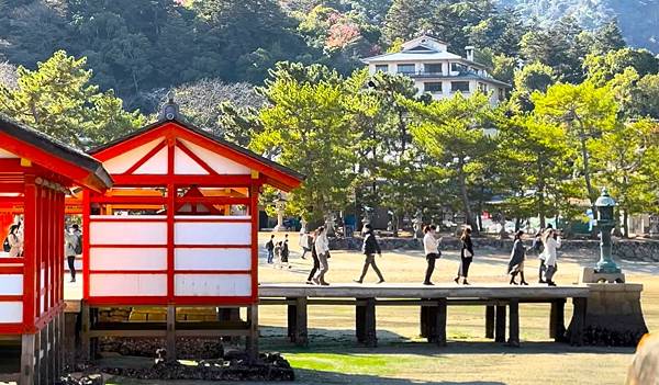 廣島必遊→日本三景之一『國寶.嚴島神社』+ 必吃美食牡蠣屋