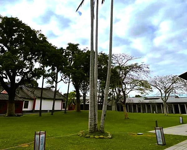 桃園大溪落羽松秘境=月眉人工濕地生態公園.落羽松公園.土埆厝