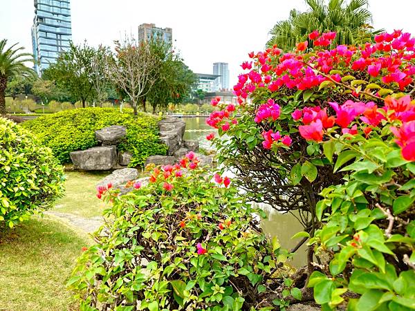 訪友吃喝ing【千燈湖公園.燈湖西街.礌崗公園】岭南逸品.桂