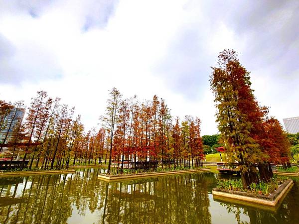 訪友吃喝ing【千燈湖公園.燈湖西街.礌崗公園】岭南逸品.桂