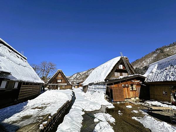 【追雪.賞雪.看看合掌造】走走郡上八幡城.兼六園.永平寺.金