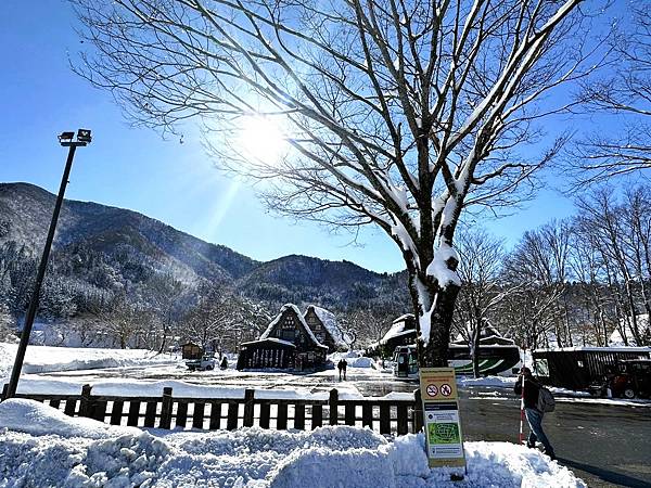 【追雪.賞雪.看看合掌造】走走郡上八幡城.兼六園.永平寺.金