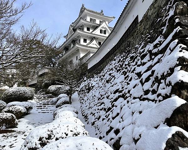 【追雪.賞雪.看看合掌造】走走郡上八幡城.兼六園.永平寺.金