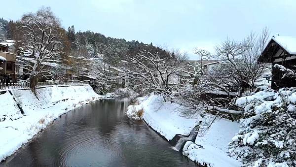 【追雪.賞雪.看看合掌造】走走郡上八幡城.兼六園.永平寺.金