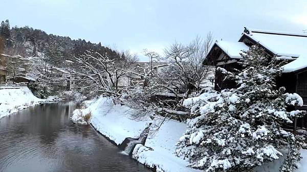 【追雪.賞雪.看看合掌造】走走郡上八幡城.兼六園.永平寺.金