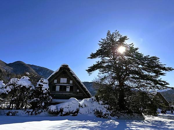 【追雪.賞雪.看看合掌造】走走郡上八幡城.兼六園.永平寺.金