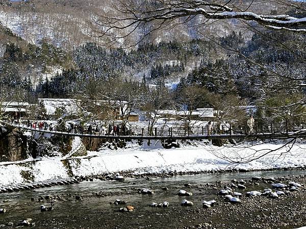 【追雪.賞雪.看看合掌造】走走郡上八幡城.兼六園.永平寺.金