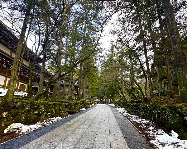 【追雪.賞雪.看看合掌造】走走郡上八幡城.兼六園.永平寺.金